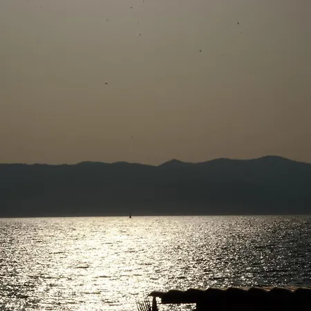 Ertan Cesme